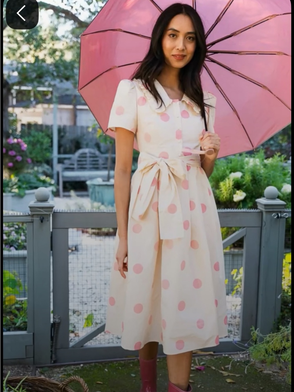 Ivy city kit dress NWTs cream with pink polka dots